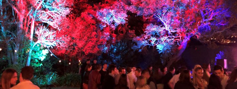Planning your Outdoor Party (Part 2: Lighting)