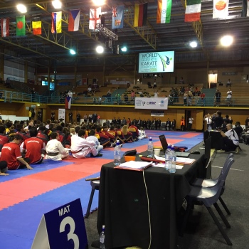 World Karate Champs
