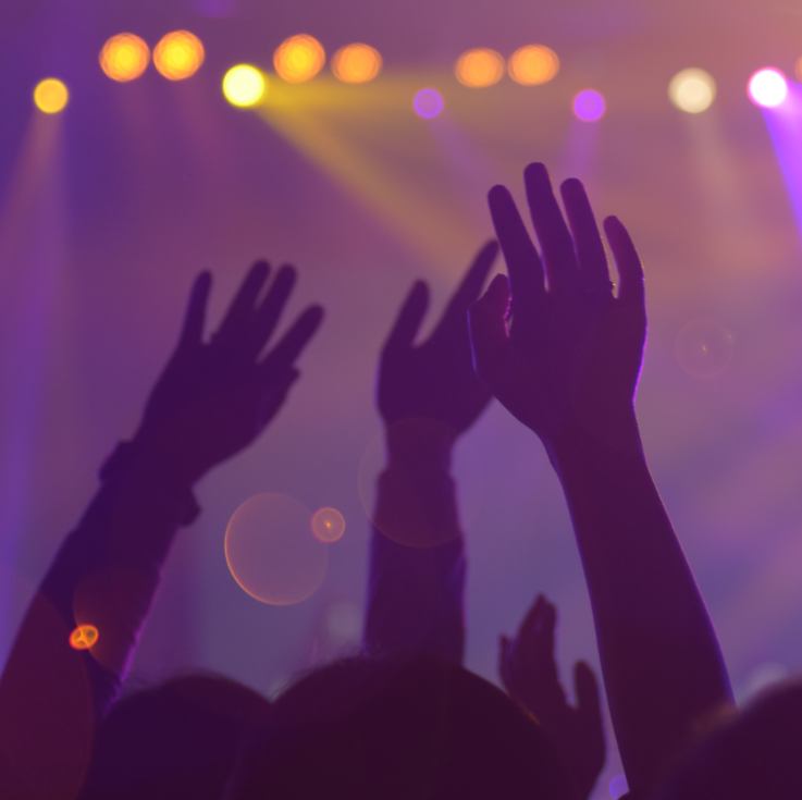 Line Array System Hire